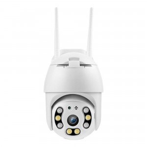 Redleaf IP Camera Cam 1000