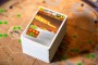 Stronghold Games Terraforming Mars (EN)