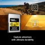 Lexar CFexpress Pro Gold R900/W800 VPG400 (Type A) 160GB (LCAGOLD160G-RNENG)