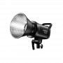 Godox SL60llD Duo Kit Video Light