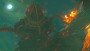 Nintendo Switch The Legend of Zelda: Breath of the Wild - Nintendo Switch 2 Edition